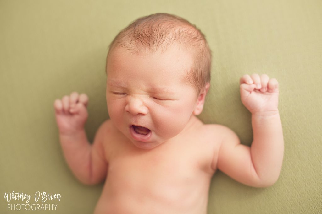 Awake newborn photos – Newton baby photos