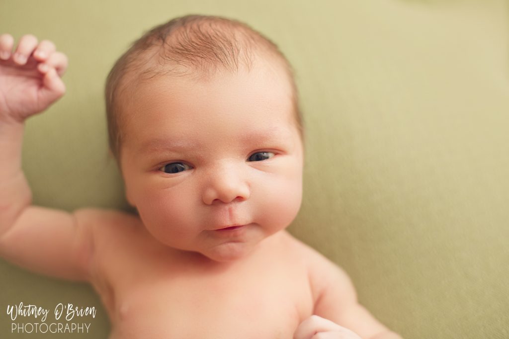 Awake newborn photos – Newton baby photos