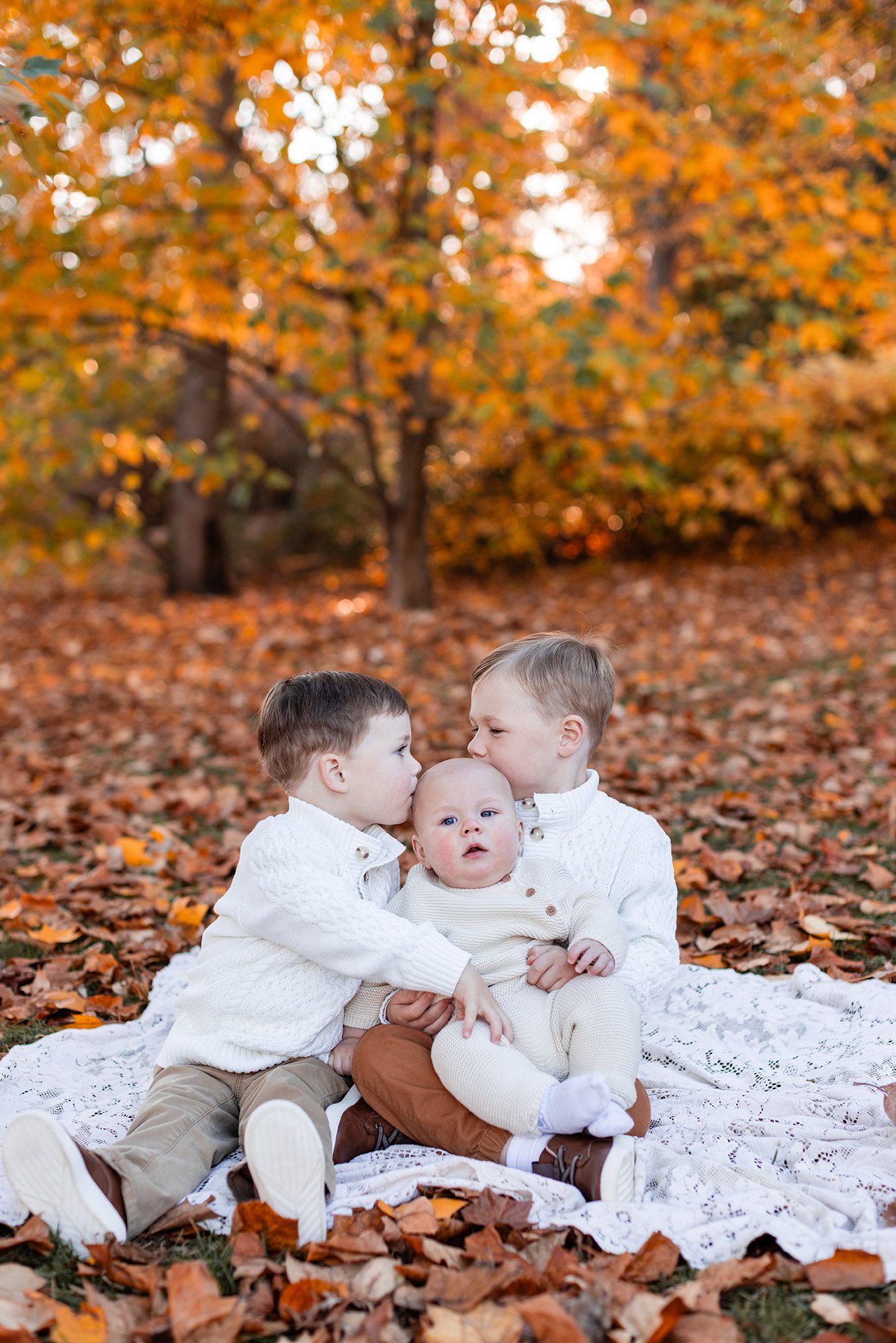 Boston Fall Family Photos - big brothers kissing baby
