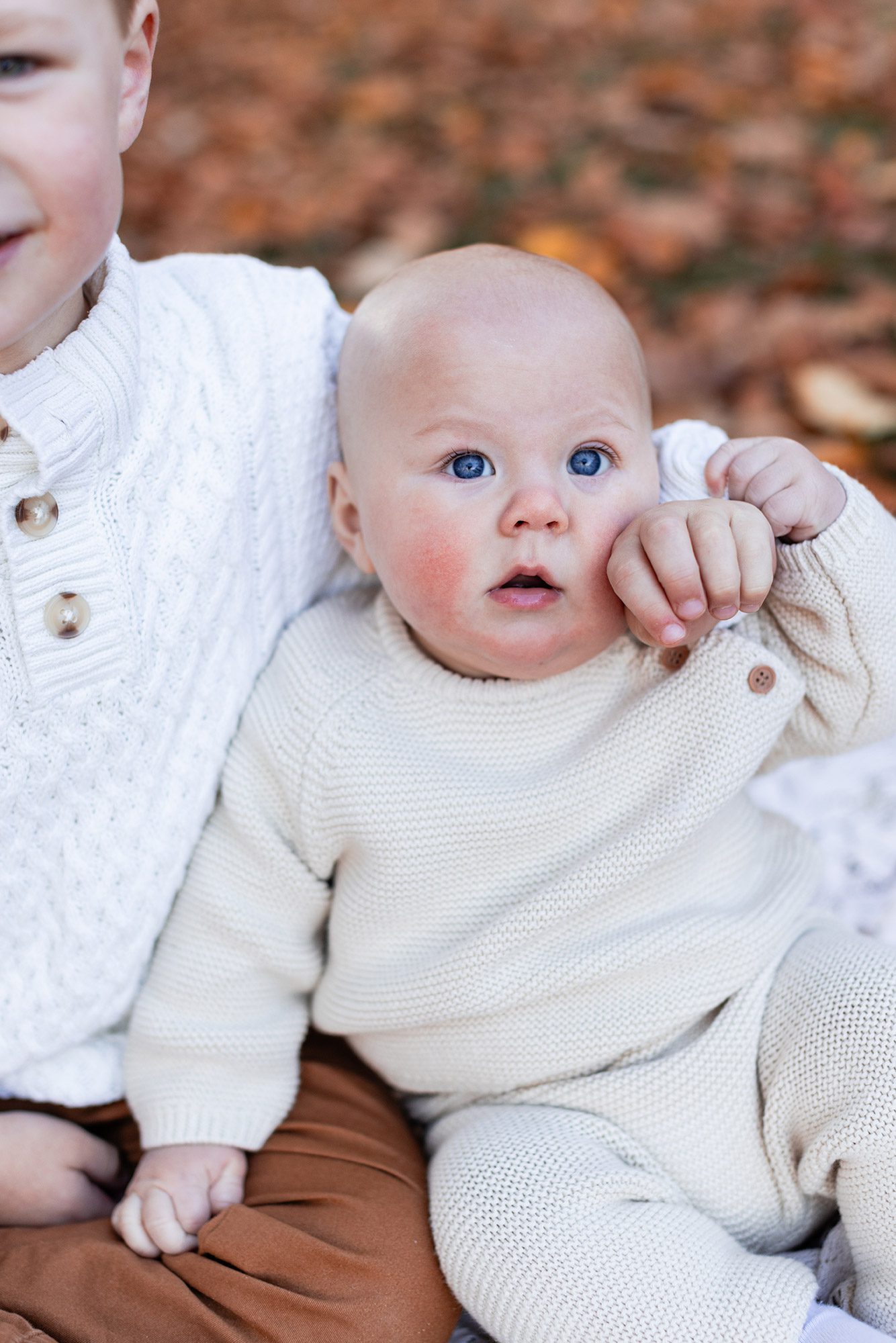 Boston Fall Family Photos - bald baby in a park