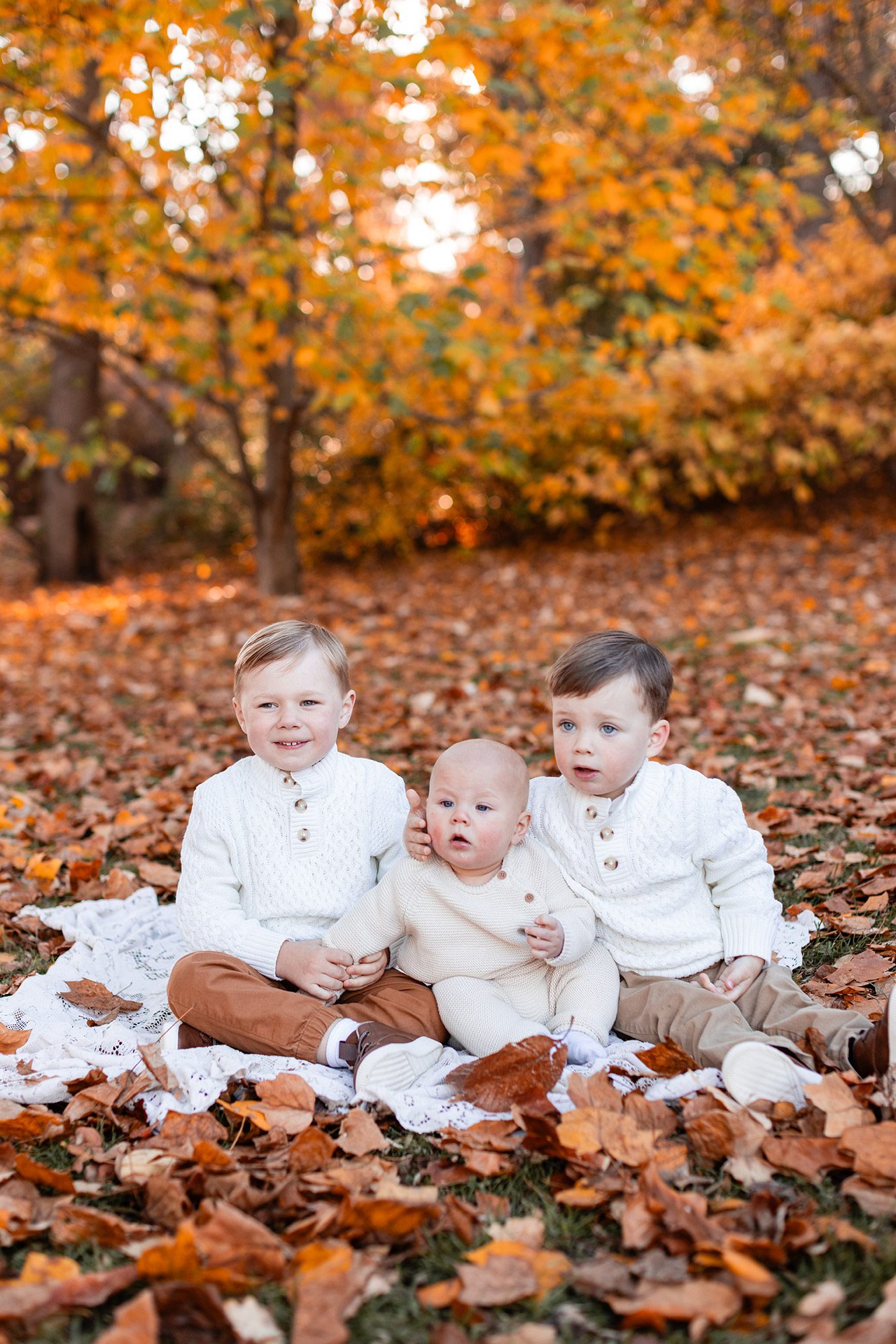 Boston Fall Family Photos - brothers together on a blanket