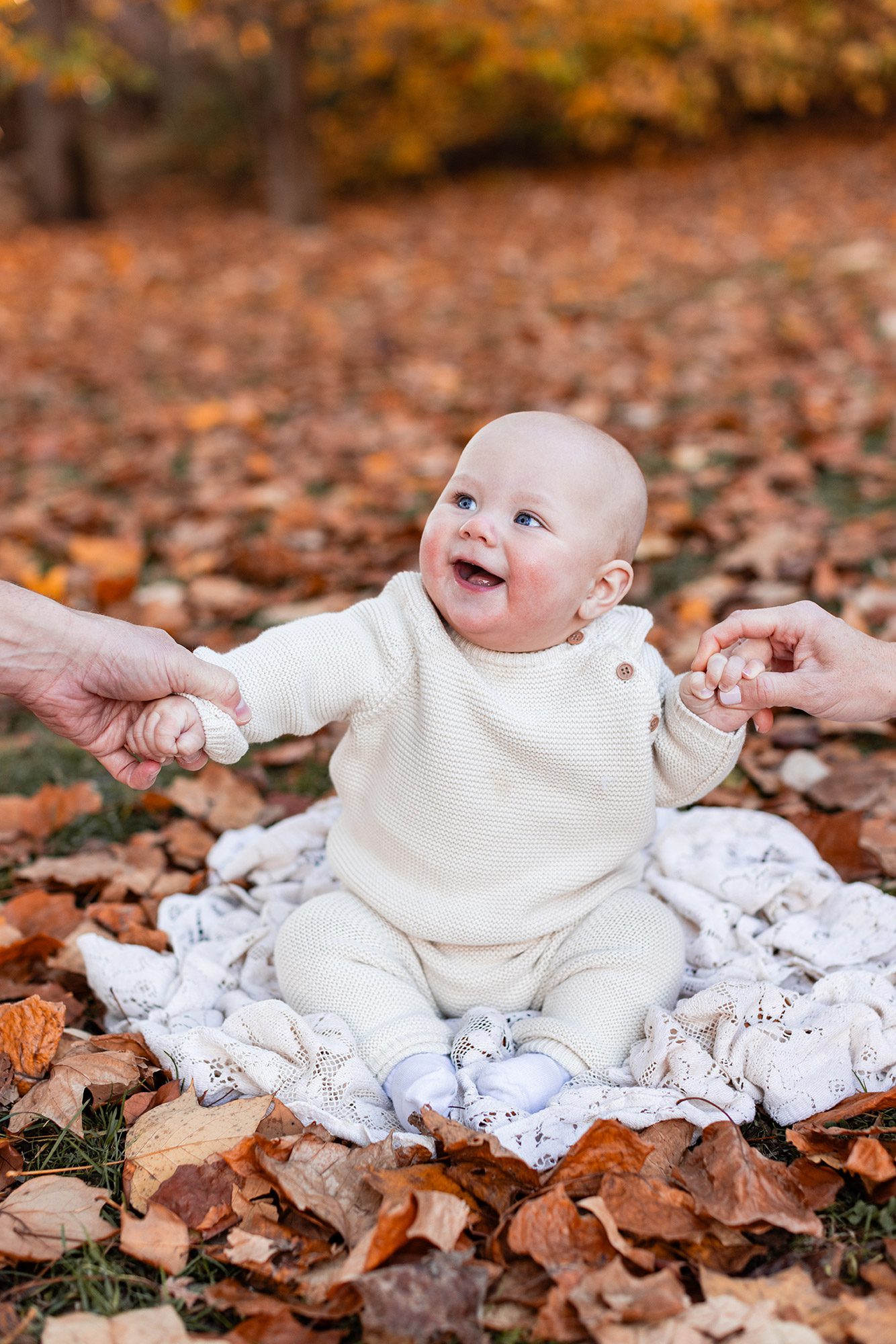 Boston Fall Family Photos - baby sitting and holding parents' hands