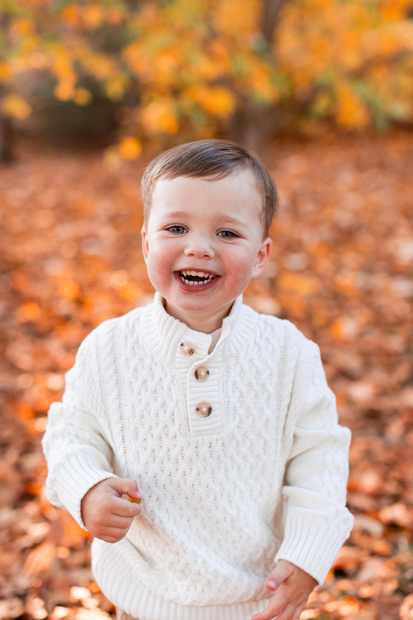 Boston Fall Family Photos - smiling toddler in the leaves
