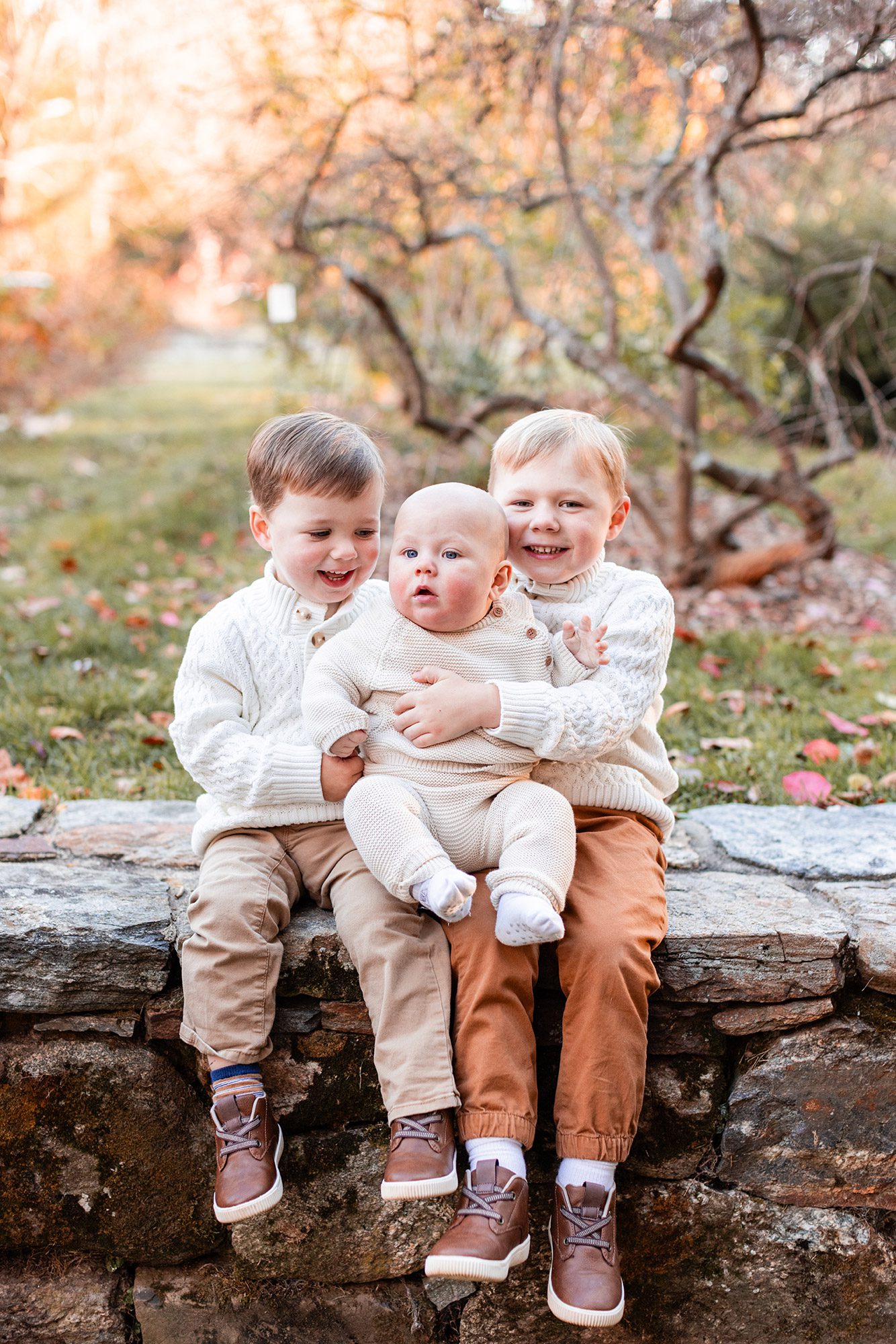 Boston Fall Family Photos - three boys sitting
