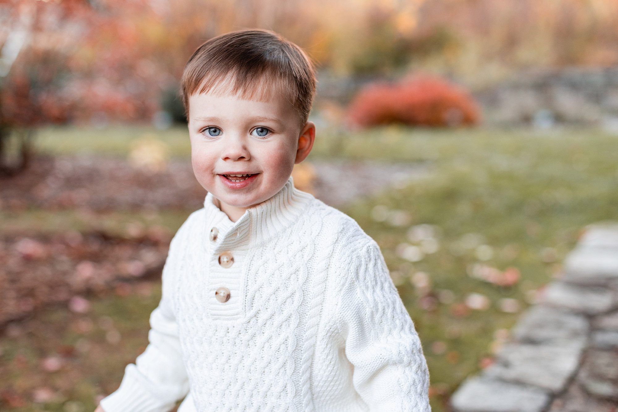 Boston Fall Family Photos - toddler boy