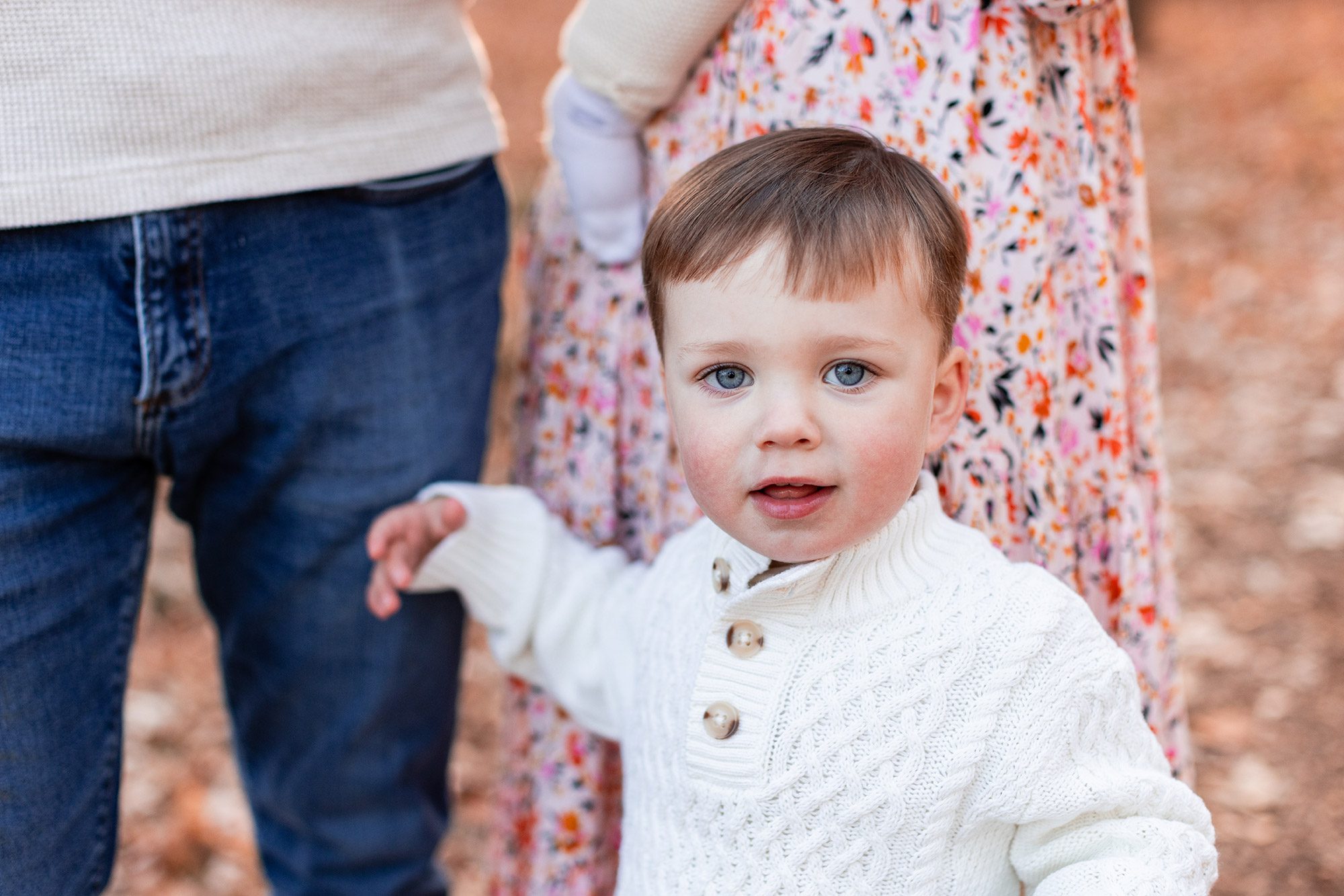 Boston Fall Family Photos - toddler in front of his parents