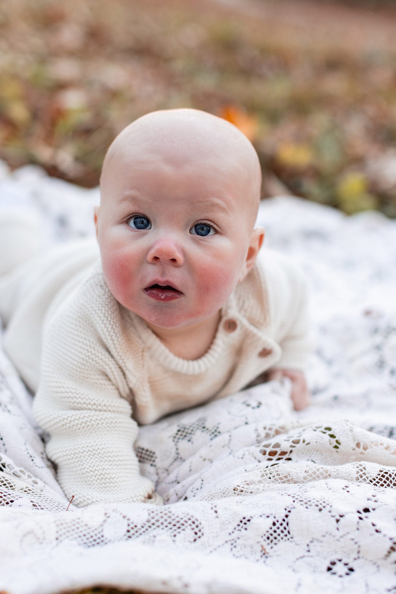 Boston Fall Family Photos - tummy time for baby