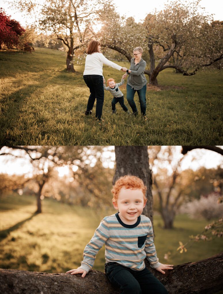 Spring Boston Family Photos