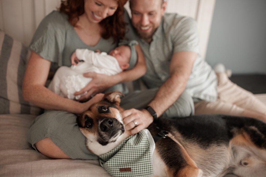 in-home newborn or family photo session