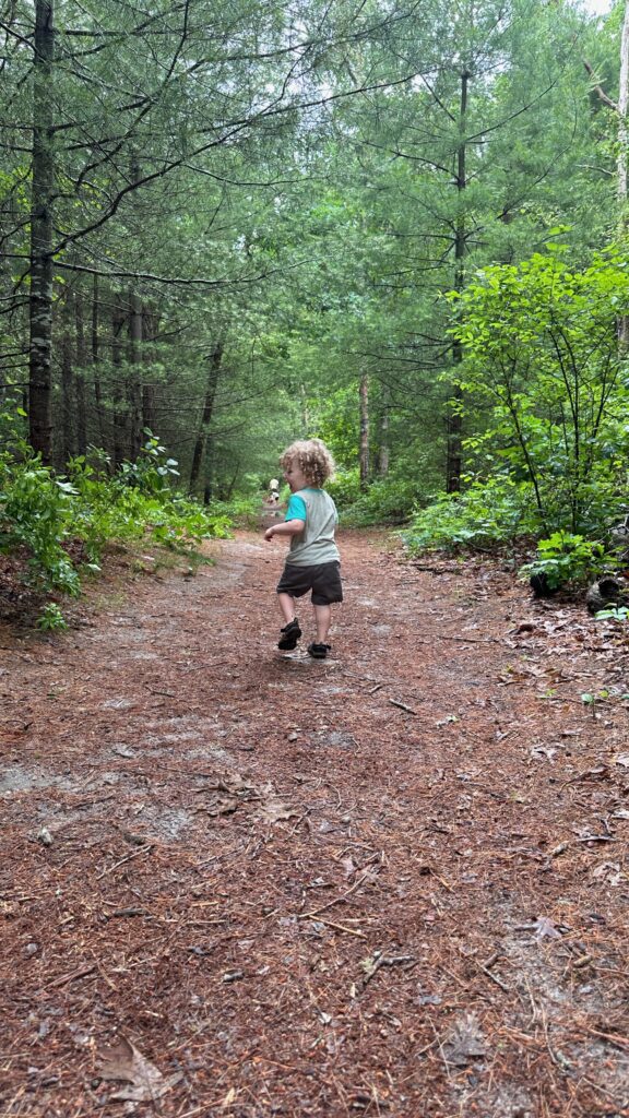 Things to do with little kids in Falmouth, MA - Highfield Hall