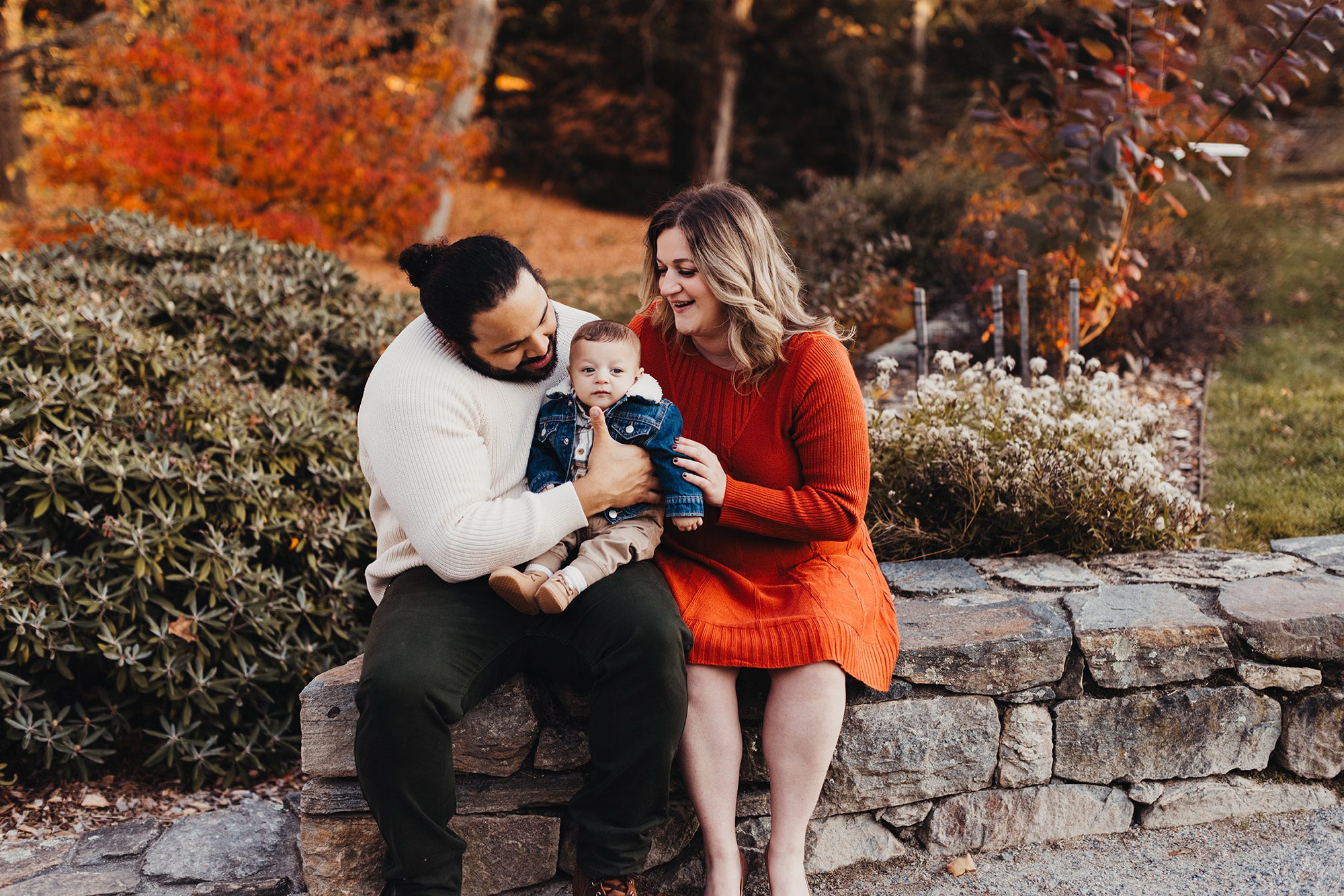 Annual Family Photos Boston Photographer - family sitting on a stone wall in the Arboretum