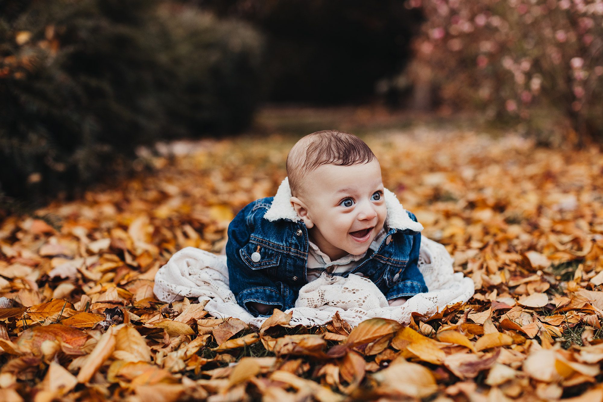Annual Family Photos Boston Photographer - baby tummy time in the Fall leaves