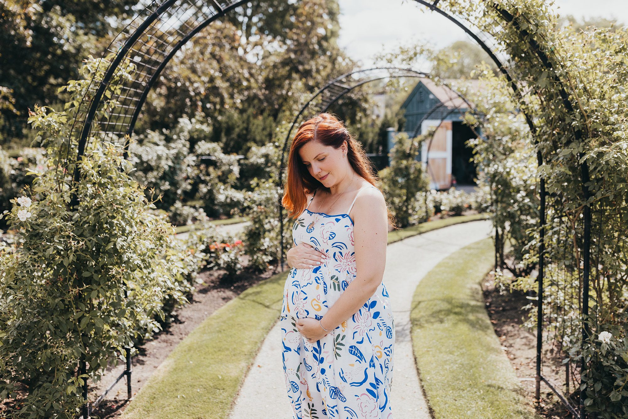 Maternity Photos at the Kelleher Rose Garden in the Fens