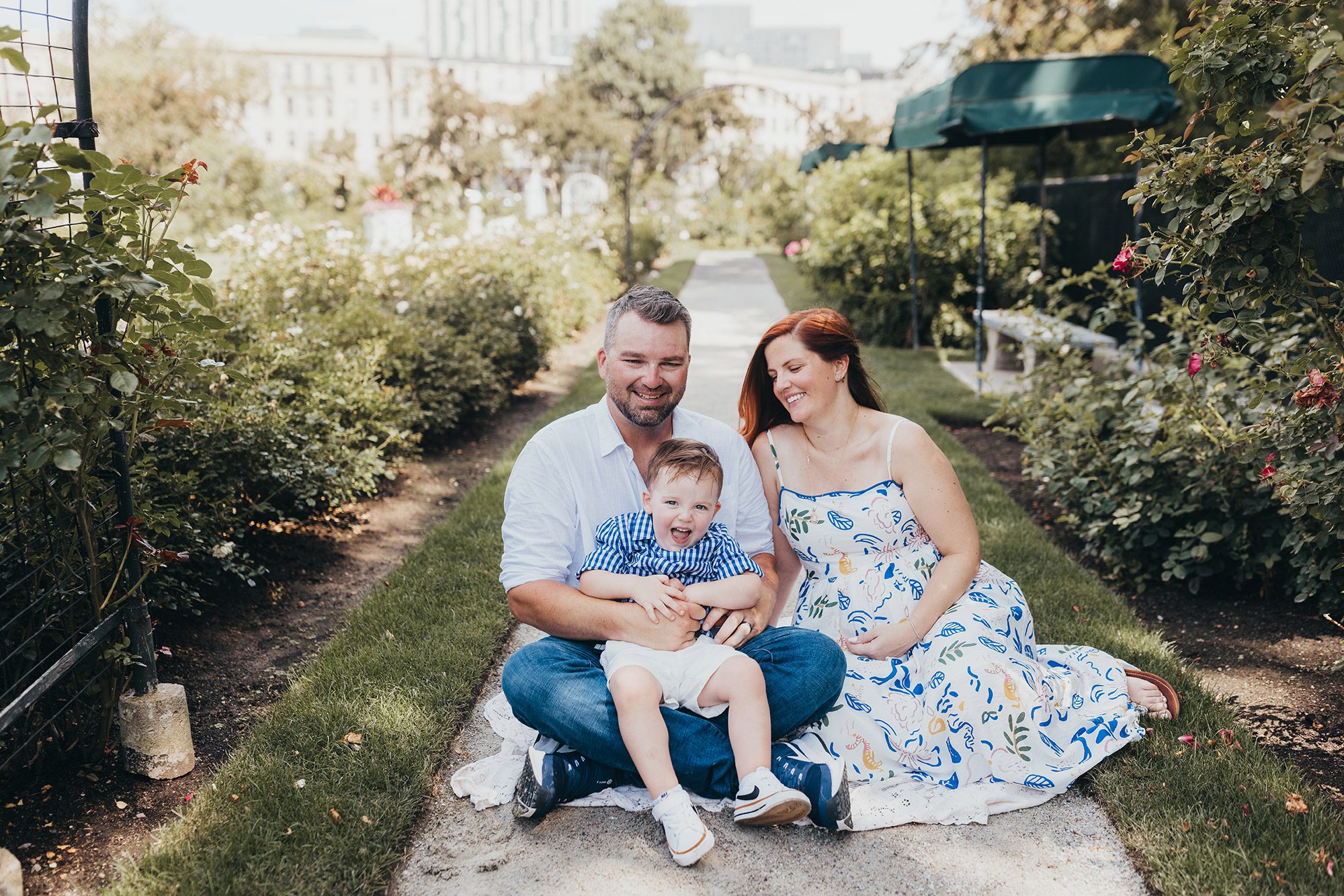 Maternity Photos at the Kelleher Rose Garden in the Fens