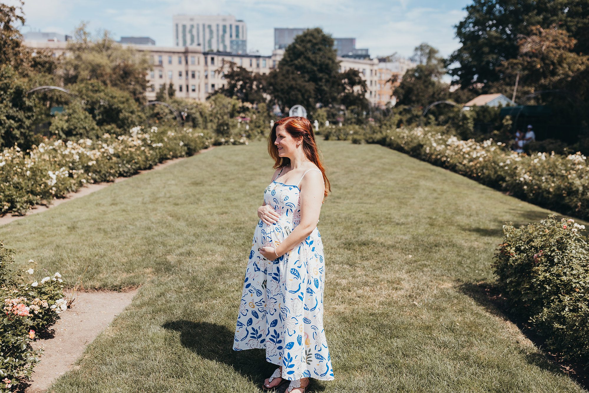 Maternity Photos at the Kelleher Rose Garden in the Fens