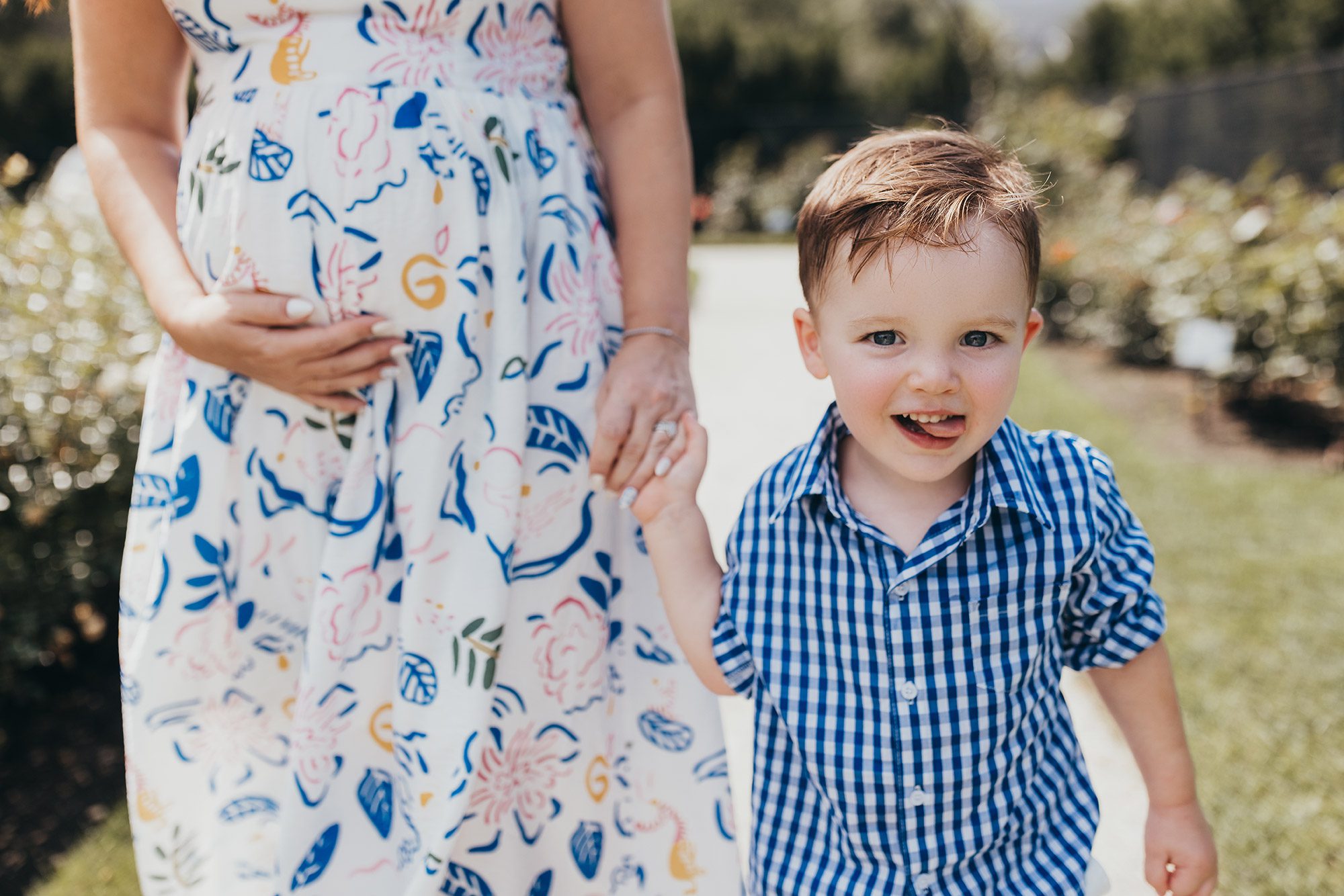 Maternity Photos at the Kelleher Rose Garden in the Fens